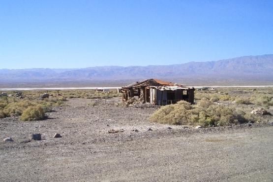 Bild Nr. 16102 - 302 mal gesehen