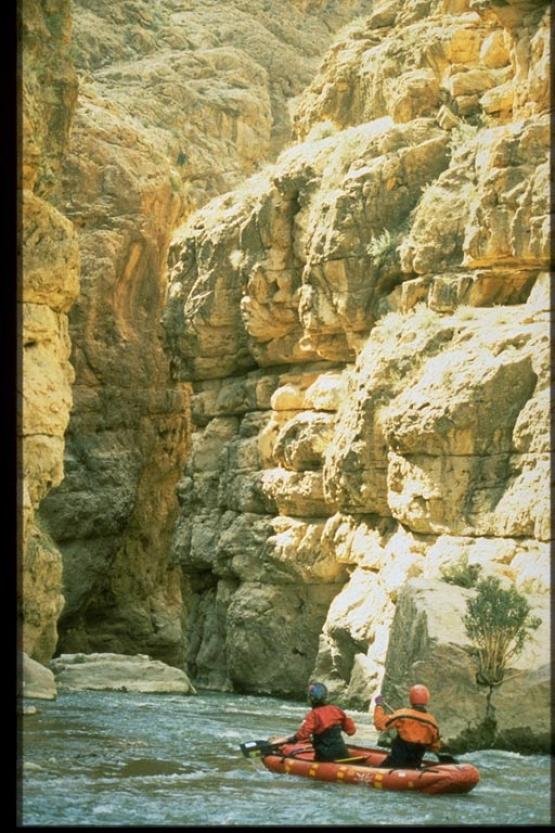 Bild Nr. 1610 - 714 mal gesehen Bild Nr. 1610 - 714 mal gesehen