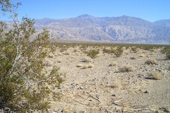 Bild Nr. 16118 - 276 mal gesehen