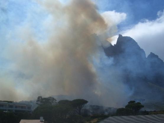 Bild Nr. 16435 - 199 mal gesehen