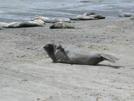 Bild Nr. 16554 - 411 mal gesehen