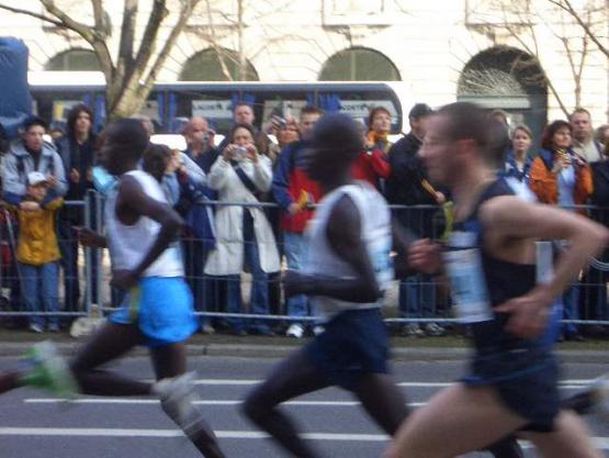 Bild Nr. 17400 - 266 mal gesehen