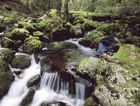 Bild Nr. 17694 - 414 mal gesehen Bild Nr. 17694 - 414 mal gesehen