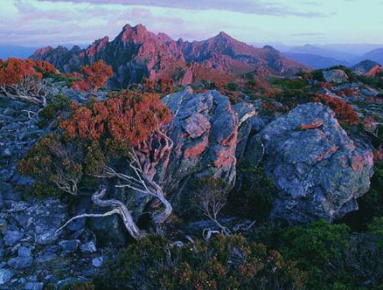 Bild Nr. 17697 - 505 mal gesehen Bild Nr. 17697 - 505 mal gesehen