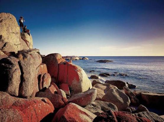 Bild Nr. 17698 - 506 mal gesehen Bild Nr. 17698 - 506 mal gesehen