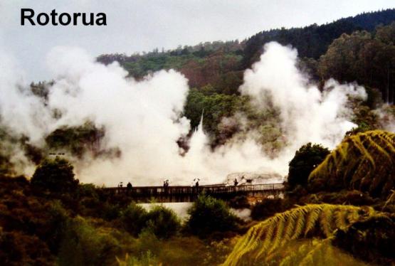 Bild Nr. 18162 - 131 mal gesehen Bild Nr. 18162 - 131 mal gesehen