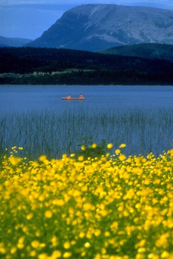 Bild Nr. 1821 - 265 mal gesehen