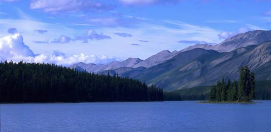 Bild Nr. 1829 - 276 mal gesehen Bild Nr. 1829 - 276 mal gesehen