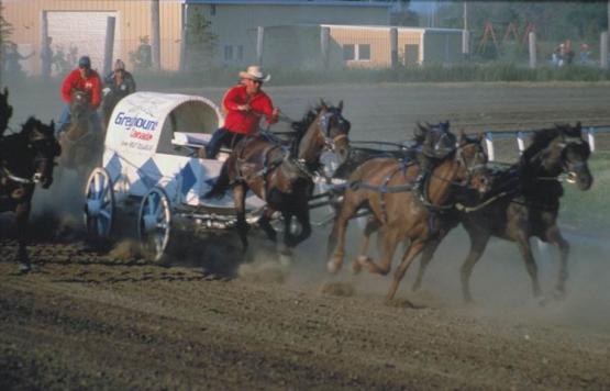 Bild Nr. 1831 - 194 mal gesehen Bild Nr. 1831 - 194 mal gesehen