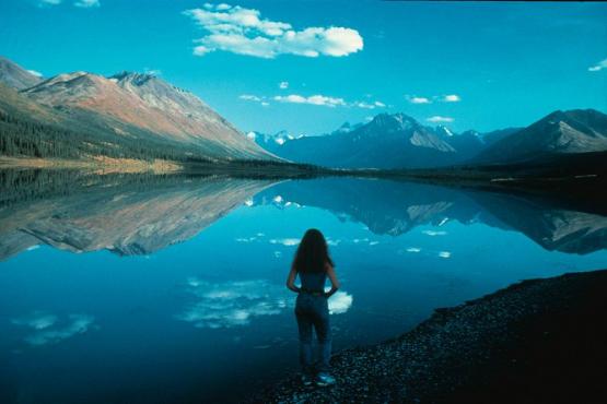 Bild Nr. 1844 - 220 mal gesehen Bild Nr. 1844 - 220 mal gesehen