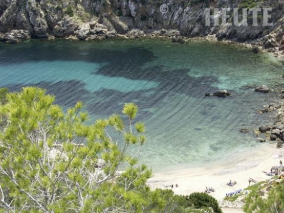 Bild Nr. 18687 - 459 mal gesehen Bild Nr. 18687 - 459 mal gesehen