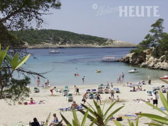 Bild Nr. 18688 - 455 mal gesehen Bild Nr. 18688 - 455 mal gesehen