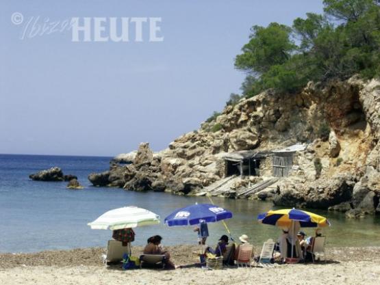 Bild Nr. 18689 - 428 mal gesehen Bild Nr. 18689 - 428 mal gesehen