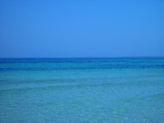 Bild Nr. 18755 - 378 mal gesehen