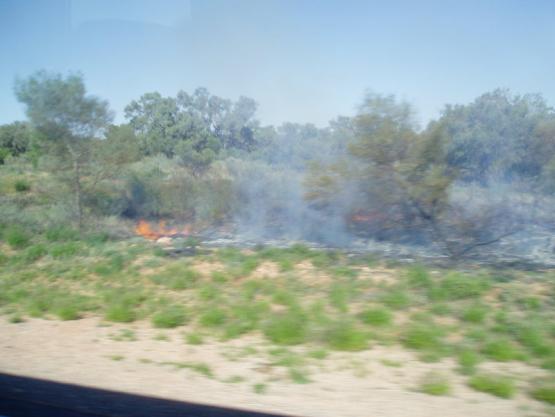 Bild Nr. 18810 - 182 mal gesehen Bild Nr. 18810 - 182 mal gesehen