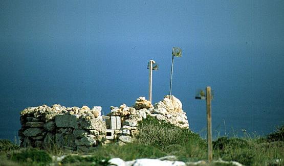 Bild Nr. 1890 - 483 mal gesehen Bild Nr. 1890 - 483 mal gesehen