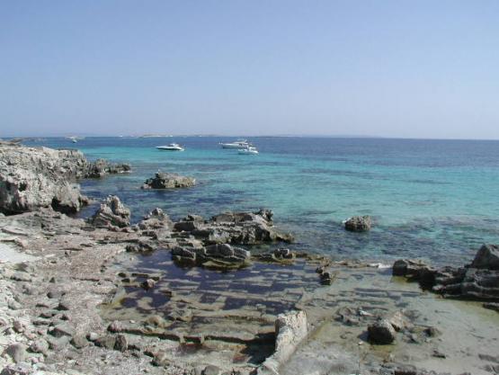 Bild Nr. 19489 - 49 mal gesehen