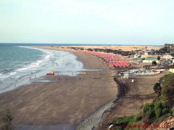 Bild Nr. 1950 - 344 mal gesehen Bild Nr. 1950 - 344 mal gesehen