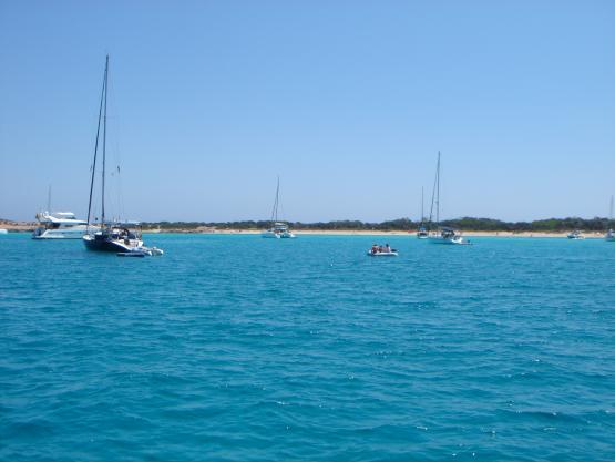 Bild Nr. 19856 - 214 mal gesehen