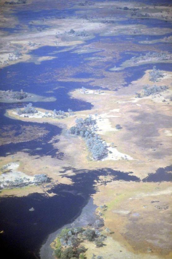 Bild Nr. 19868 - 227 mal gesehen