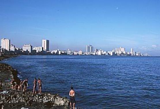 Bild Nr. 201 - 160 mal gesehen