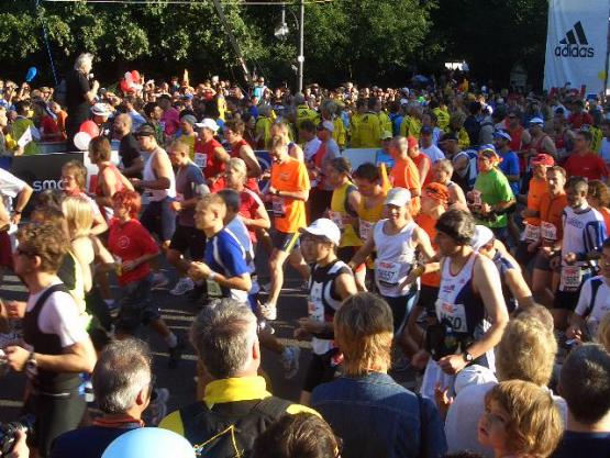 Bild Nr. 20448 - 335 mal gesehen