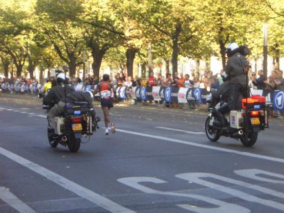 Bild Nr. 20467 - 817 mal gesehen