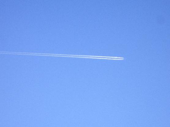 Bild Nr. 20630 - 255 mal gesehen