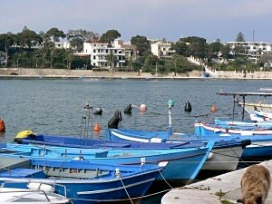 Bild Nr. 20769 - 323 mal gesehen