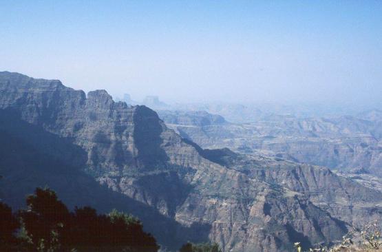 Bild Nr. 207 - 149 mal gesehen