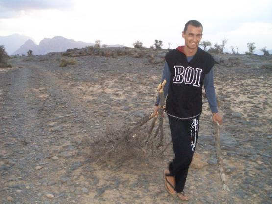 Bild Nr. 21312 - 533 mal gesehen