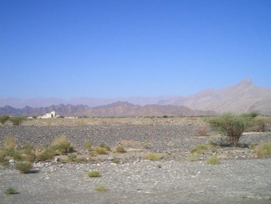 Bild Nr. 21337 - 574 mal gesehen