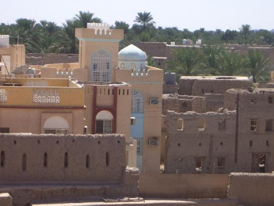 Bild Nr. 21351 - 334 mal gesehen