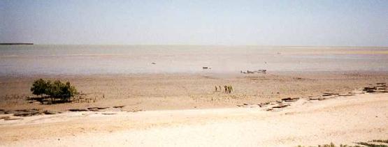 Bild Nr. 2155 - 200 mal gesehen Bild Nr. 2155 - 200 mal gesehen