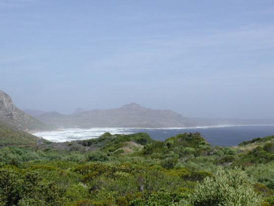 Bild Nr. 2173 - 412 mal gesehen