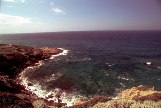 Bild Nr. 21787 - 278 mal gesehen