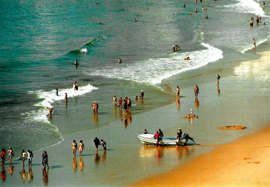 Bild Nr. 22130 - 368 mal gesehen Bild Nr. 22130 - 368 mal gesehen