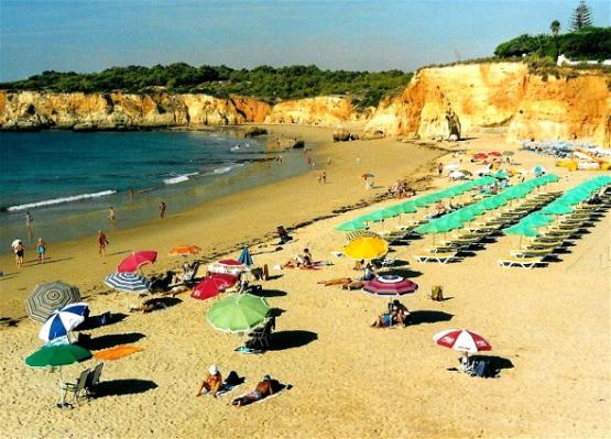 Bild Nr. 22136 - 244 mal gesehen Bild Nr. 22136 - 244 mal gesehen