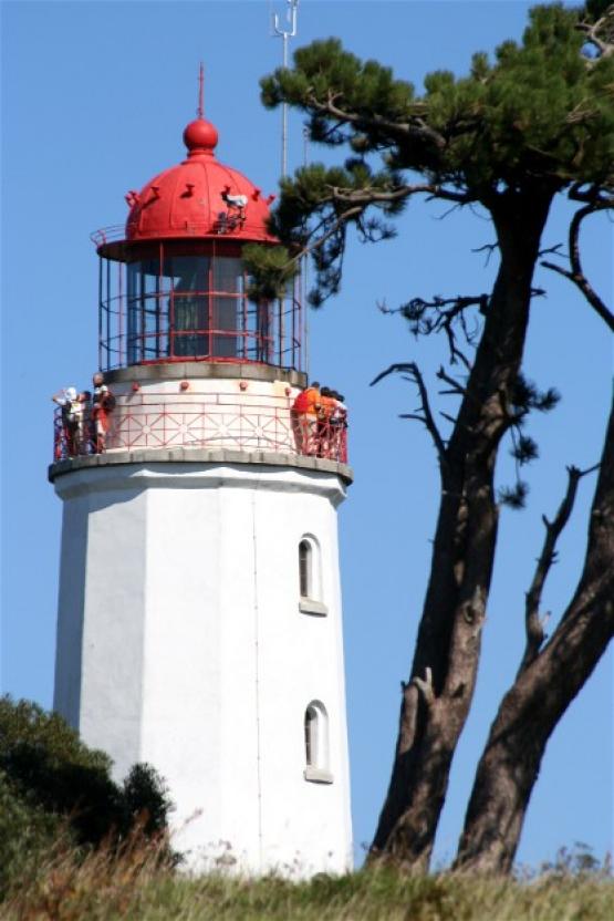 Bild Nr. 22178 - 271 mal gesehen Bild Nr. 22178 - 271 mal gesehen