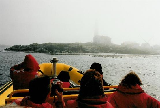 Bild Nr. 22184 - 270 mal gesehen Bild Nr. 22184 - 270 mal gesehen