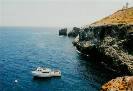 Bild Nr. 22194 - 247 mal gesehen