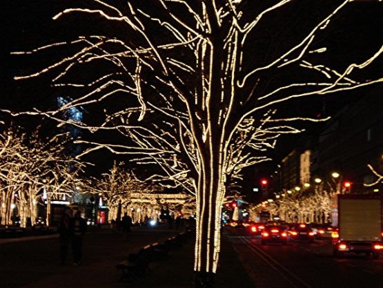 Bild Nr. 22283 - 240 mal gesehen