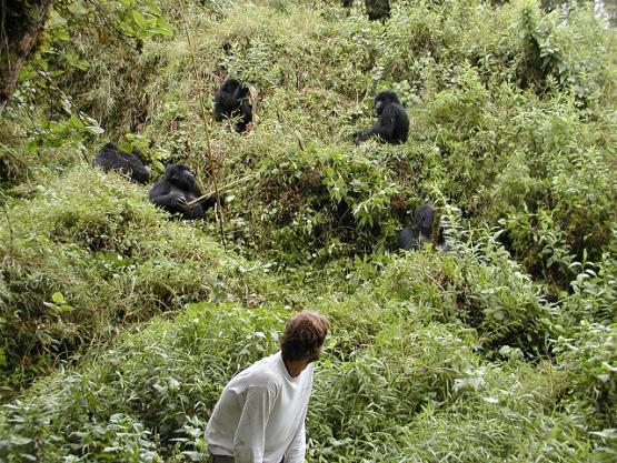 Bild Nr. 2229 - 401 mal gesehen Bild Nr. 2229 - 401 mal gesehen