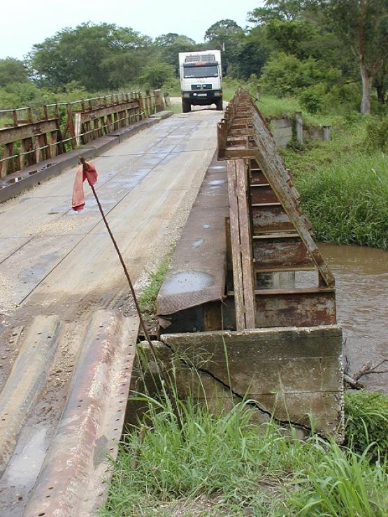 Bild Nr. 2233 - 311 mal gesehen Bild Nr. 2233 - 311 mal gesehen