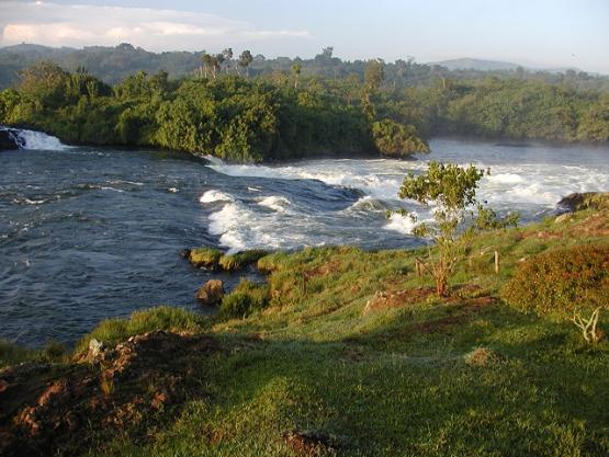 Bild Nr. 2244 - 292 mal gesehen Bild Nr. 2244 - 292 mal gesehen