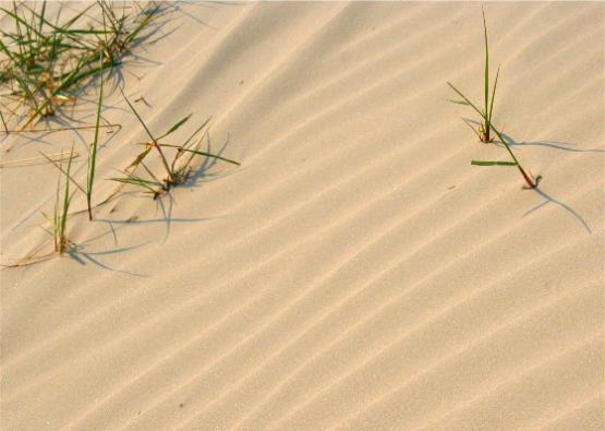 Bild Nr. 22505 - 282 mal gesehen Bild Nr. 22505 - 282 mal gesehen