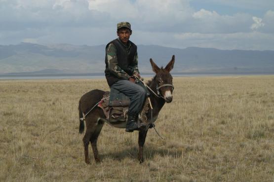 Bild Nr. 22902 - 296 mal gesehen