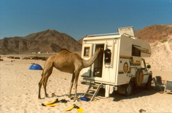 Bild Nr. 22968 - 234 mal gesehen Bild Nr. 22968 - 234 mal gesehen