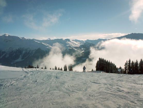 Bild Nr. 2297 - 126 mal gesehen