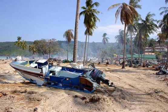 Bild Nr. 23268 - 3382 mal gesehen